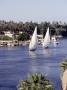 Feluccas On The Nile, Aswan, Egypt by Rick Strange Limited Edition Print