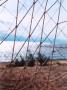 Net, Baltic Sea, Russia by Susanne Friedrich Limited Edition Pricing Art Print