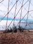 Net, Baltic Sea, Russia by Susanne Friedrich Limited Edition Print