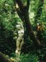 Statue Lucinda By Gerda Rubinstein Dappled Sunlight Beneath Tree Gibberd Garden, Essex by Jacqui Hurst Limited Edition Pricing Art Print