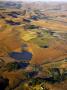 Aerial View Of Farming Operations Near Howick, Kwazulu Natal, South Africa by Roger De La Harpe Limited Edition Print
