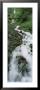 Stream Flowing Through A Forest, Wahkeena Waterfall, Columbia River Gorge, Oregon, Usa by Panoramic Images Limited Edition Pricing Art Print