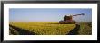 Combine In A Rice Field, Glenn County, California, Usa by Panoramic Images Limited Edition Print