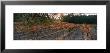 Vineyard On A Landscape, Sonoma County, California, Usa by Panoramic Images Limited Edition Print