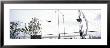 Trapeze School New York, Hudson River Park, New York City, New York State, Usa by Panoramic Images Limited Edition Print