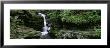 Panoramic View Of A Waterfall, Ricketts Glen State Park, Pennsylvania, Usa by Panoramic Images Limited Edition Print
