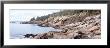 Rock Formation On Granite Coastline, Acadia National Park, Mount Desert Island, Maine, Usa by Panoramic Images Limited Edition Print
