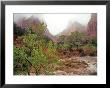 Virgin River In Rain At The Court Of The Patriarchs, Zion National Park, Utah, Usa by Chuck Haney Limited Edition Print