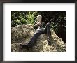 Statue Of Oscar Wilde, Merrion Square, Dublin, Eire (Republic Of Ireland) by Ken Gillham Limited Edition Print