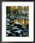 River Rathay At Grasmere With Winter Snow On Rocks, Lake District National Park, Cumbria, England by David Tomlinson Limited Edition Print
