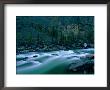 The Mist-Filled Tides Of Clearwater River Quickly Rush Down The Rocky Mountain Landscape by Barry Tessman Limited Edition Print