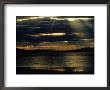 The Sun Sets Over The Water In Tasmania by Sam Abell Limited Edition Print