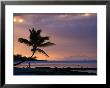 Silhouette Of A Palm Tree And A Person Exercising On The Beach At Dawn, Coral Coast, Fiji by David Wall Limited Edition Print