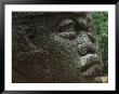 A Close View Of An Olmec Head by Kenneth Garrett Limited Edition Pricing Art Print
