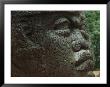 A Close View Of An Olmec Head by Kenneth Garrett Limited Edition Print