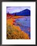 Low Tide At Turnagain Arm, Cook Inlet, Seward Scenic Highway, Seward, Alaska by Richard Cummins Limited Edition Print