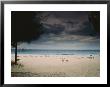 Empty Lounge Chairs Litter A Quiet Beach In Bermuda by Todd Gipstein Limited Edition Print