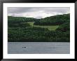 Fishermen On Otsego Lake by Raymond Gehman Limited Edition Print