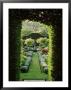 Arch Through Yew Hedge With View To Mixed Border Iris Foetidissima Marle Place by Sunniva Harte Limited Edition Print