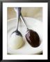White And Dark Couverture On Spoons by Debi Treloar Limited Edition Print