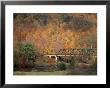 Central Bridges, Ny In The Fall by Mark Segal Limited Edition Print