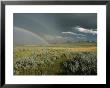 A Double Rainbow Appears Above The Sagebrush In Wyoming by Skip Brown Limited Edition Pricing Art Print
