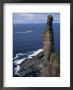 Old Man Of Hoy, Sandstone Sea Stack 137M High, With Ferry In Background, Orkney Islands by Tony Waltham Limited Edition Print