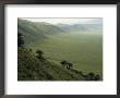Looking Down Into Ngorongoro Crater, Tanzania, East Africa, Unesco World Heritage Site by Staffan Widstrand Limited Edition Print