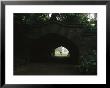 View Through Endale Arch Towards Prospect Parks Long Meadow by Melissa Farlow Limited Edition Print