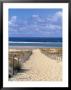 Cape Ferret, Basin D'arcachon, Gironde, Aquitaine, France by Doug Pearson Limited Edition Print