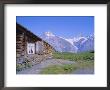 View From Grindelwald-Frist To Wetterhorn And Shreckhorn Mountains, Switzerland by Hans Peter Merten Limited Edition Print