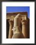 Falcon Headed Horus Statue, Temple Of Horus, Edfu, Egypt, North Africa by Ken Gillham Limited Edition Print
