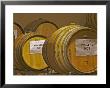 Oak Barrels, Bodega Del Anelo Winery, Finca Roja, Neuquen, Patagonia, Argentina by Per Karlsson Limited Edition Print