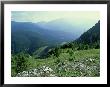 Nizke, View From Nature Reserve On Ohniste Plateau 1538M, Slovakia by Richard Packwood Limited Edition Print