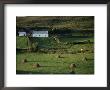 County Clare, Munster, Republic Of Ireland (Eire) by Adam Woolfitt Limited Edition Print