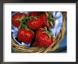 Strawberries In A Basket by Steve & Ann Toon Limited Edition Pricing Art Print
