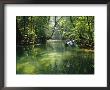 Longboats Moored In Creek Amid Rain Forest, Island Of Borneo, Malaysia by Richard Ashworth Limited Edition Print