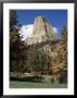 Devil's Tower, Devil's Tower National Monument, Wyoming, United States Of America, North America by James Emmerson Limited Edition Pricing Art Print