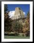 Devil's Tower, Devil's Tower National Monument, Wyoming, United States Of America, North America by James Emmerson Limited Edition Print