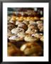 Desserts At Brunetti's, Melbourne, Victoria, Australia by Greg Elms Limited Edition Print