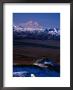 Mount Mckinley With Dall Sheep In Foreground, Denali National Park And Preserve, Alaska by Mark Newman Limited Edition Print