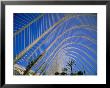 Umbracle, City Of Arts And Sciences, Architect Santiago Calatrava, Valencia, Spain by Marco Simoni Limited Edition Print