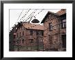 Cell Blocks, Auschwitz Concentration Camp, Unesco World Heritage Site, Makopolska, Poland by Ken Gillham Limited Edition Print