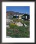 Julianehab, Greenland, Polar Regions by David Lomax Limited Edition Print