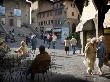 People Walking Around The Piazza Della Pescheria, Cortona, Tuscany, Italy by Robert Eighmie Limited Edition Print
