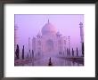 Taj Mahal At Dawn, Agra, India by Pete Oxford Limited Edition Pricing Art Print