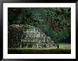 A Spider-Monkey Strolls Past A Small Pyramid by Kenneth Garrett Limited Edition Print