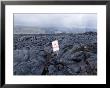 Lava Flow, Kilauea, Hawaii Volcanoes National Park, Island Of Hawaii (Big Island) by Ethel Davies Limited Edition Print