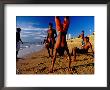 Boy Playing On Galle Beach, Colombo, Western, Sri Lanka by Richard I'anson Limited Edition Print