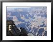 Woman Looking Over Grand Canyon, Grand Canyon National Park, Unesco World Heritage Site, Usa by Angelo Cavalli Limited Edition Pricing Art Print